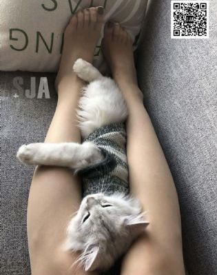 亚洲小说区_1080P在线观看电视