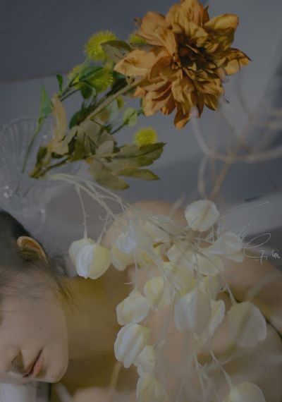 日韩色情一区卫安妇一_720在线观看高清